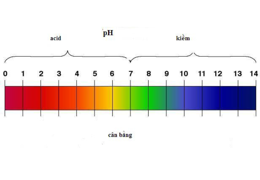 Tác dụng của việc cân bằng pH cho da bạn đã biết chưa? 