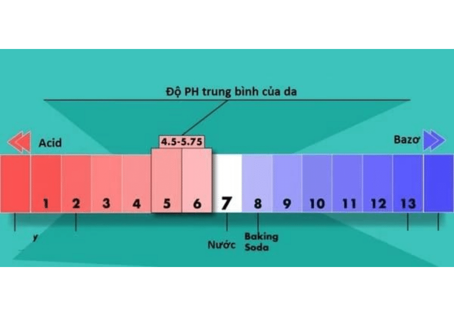 Độ pH của da là gì? Tầm quan trọng của việc cân bằng pH cho da