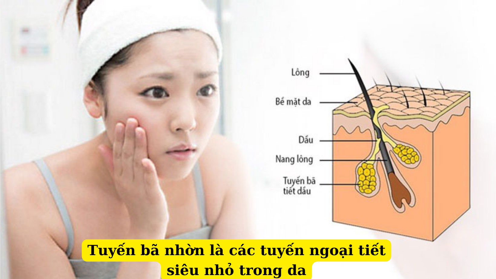 Mẹo hay giúp kiểm soát tuyến bã nhờn hiệu quả